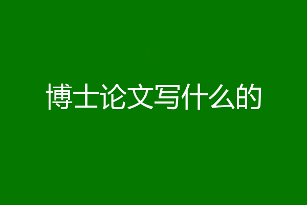 博士论文写什么的