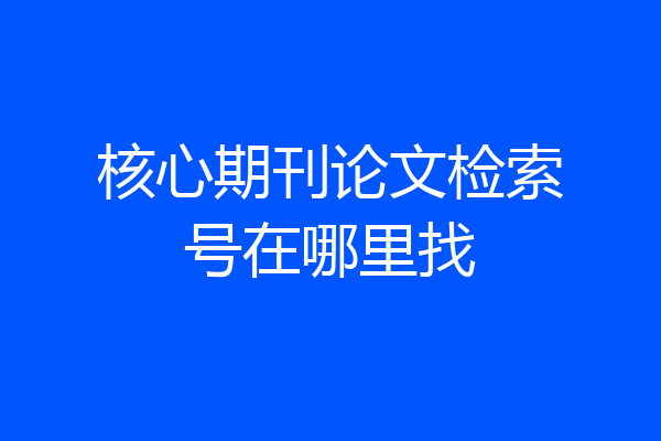 核心期刊论文检索号在哪里找