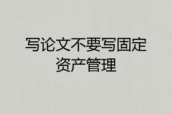 写论文不要写固定资产管理