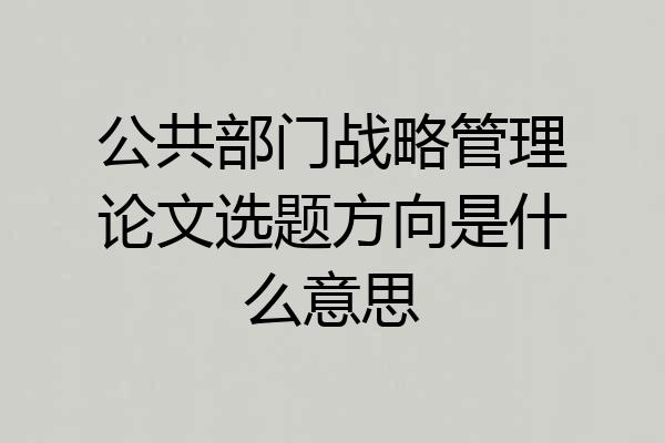 公共部门战略管理论文选题方向是什么意思
