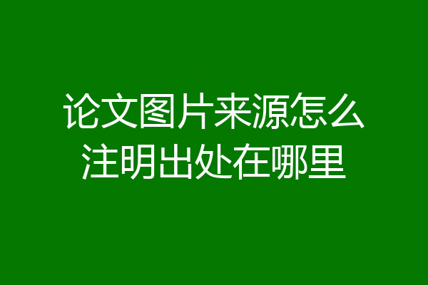 论文图片来源怎么注明出处在哪里