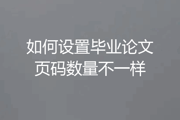 如何设置毕业论文页码数量不一样