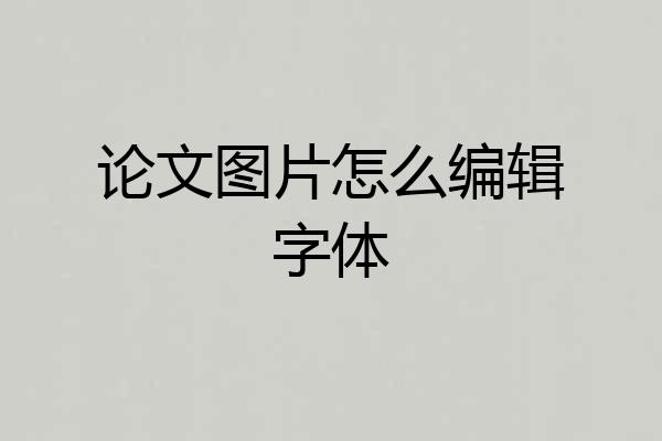 论文图片怎么编辑字体