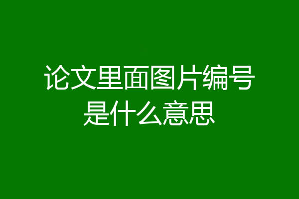 论文里面图片编号是什么意思