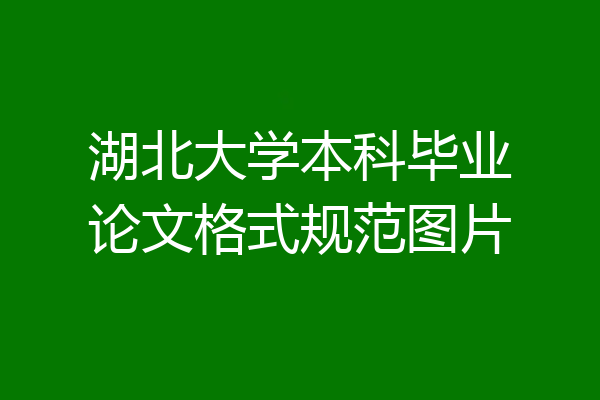 湖北大学本科毕业论文格式规范图片