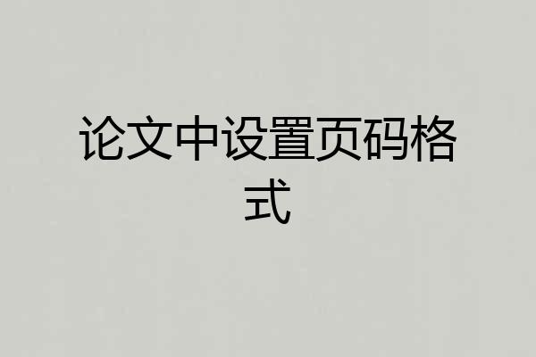论文中设置页码格式