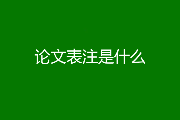 论文表注是什么