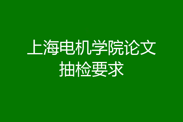 上海电机学院论文抽检要求