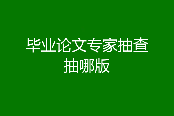 毕业论文专家抽查抽哪版