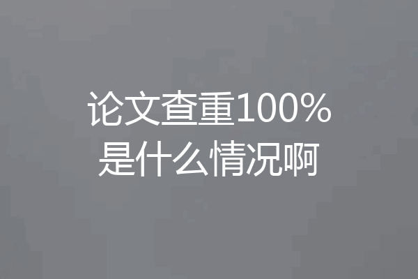 论文查重100%是什么情况啊