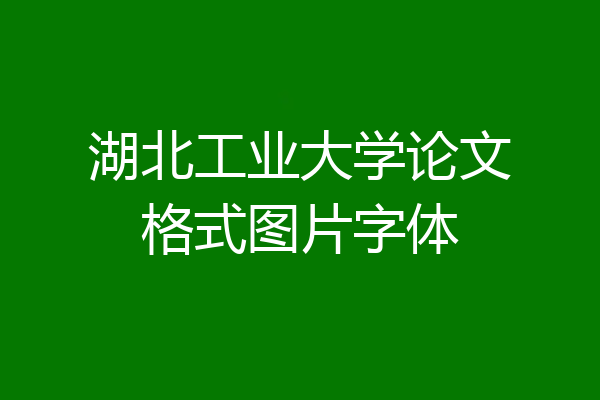 湖北工业大学论文格式图片字体