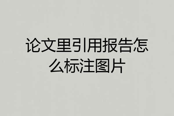 论文里引用报告怎么标注图片
