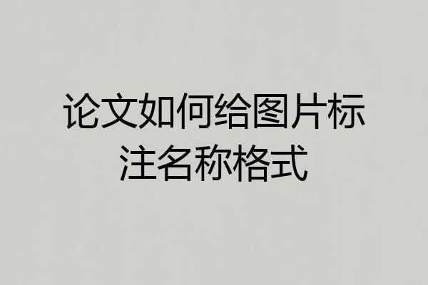 论文如何给图片标注名称格式