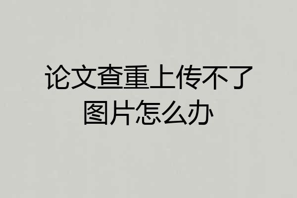 论文查重上传不了图片怎么办