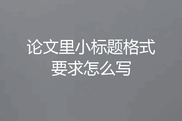 论文里小标题格式要求怎么写