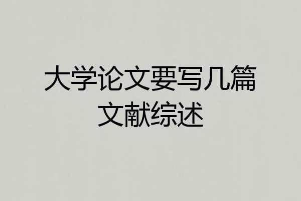 大学论文要写几篇文献综述