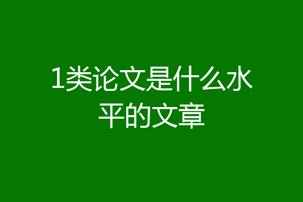 1类论文是什么水平的文章