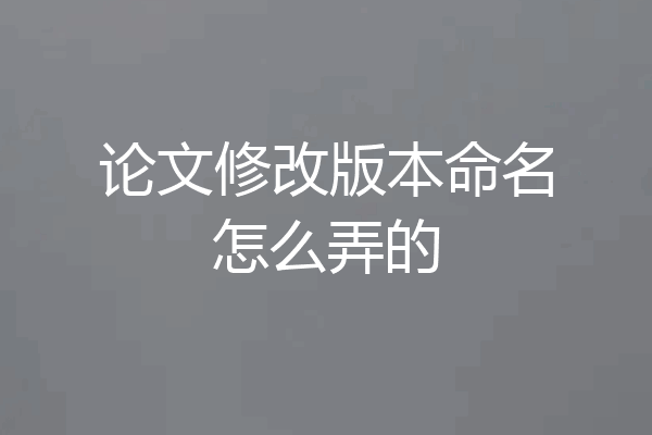 论文修改版本命名怎么弄的