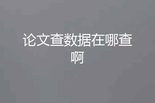论文查数据在哪查啊