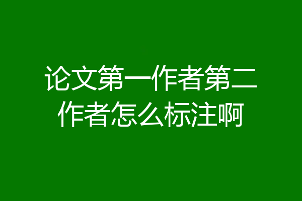 论文第一作者第二作者怎么标注啊