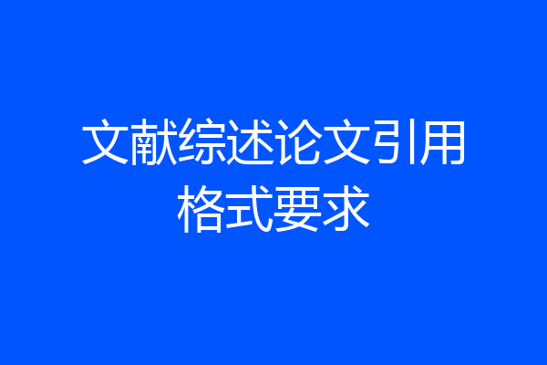 文献综述论文引用格式要求