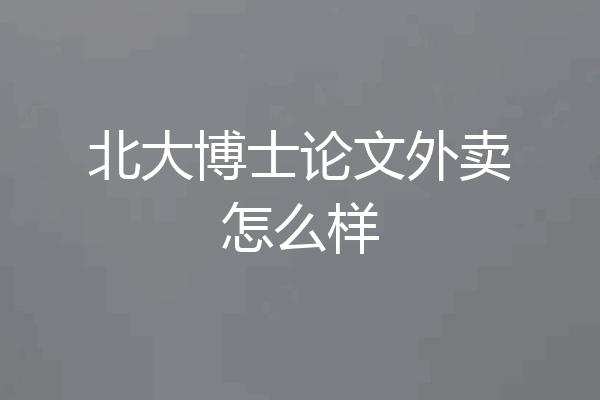 北大博士论文外卖怎么样