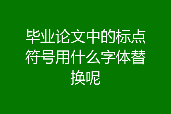 毕业论文中的标点符号用什么字体替换呢