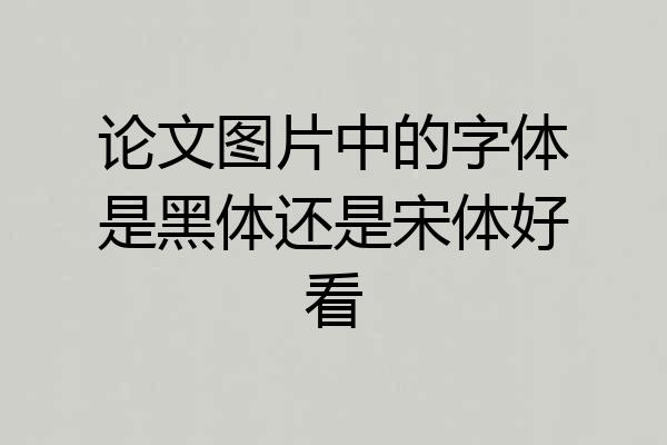 论文图片中的字体是黑体还是宋体好看