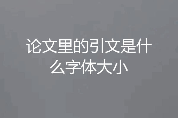 论文里的引文是什么字体大小