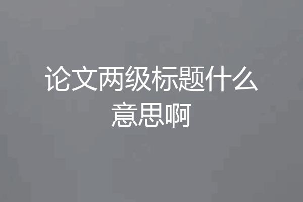 论文两级标题什么意思啊