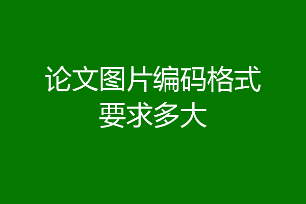 论文图片编码格式要求多大