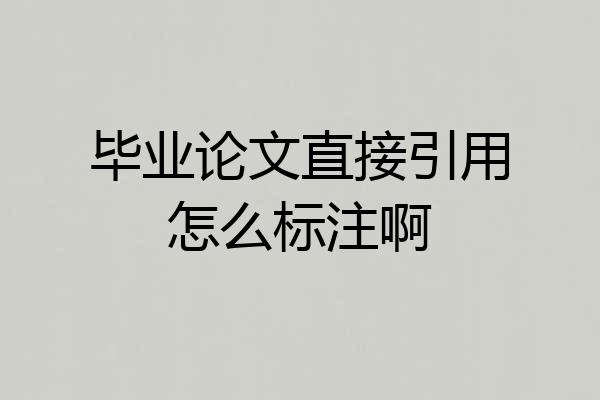 毕业论文直接引用怎么标注啊