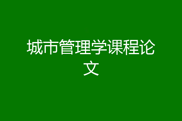 城市管理学课程论文