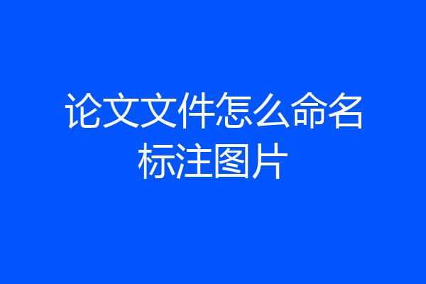论文文件怎么命名标注图片