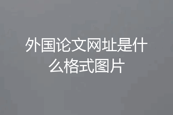 外国论文网址是什么格式图片