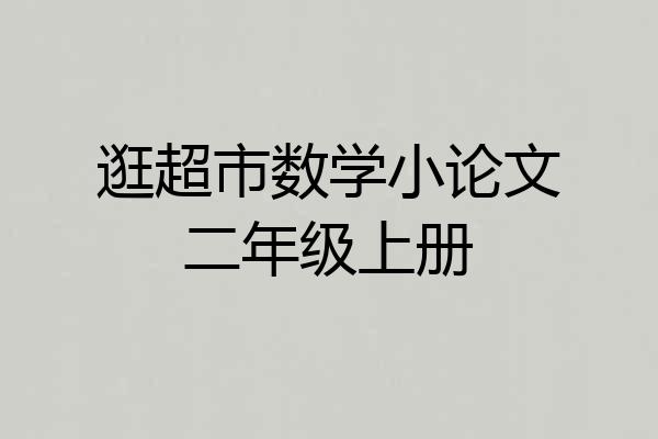 逛超市数学小论文二年级上册
