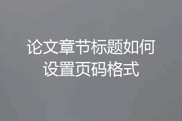 论文章节标题如何设置页码格式