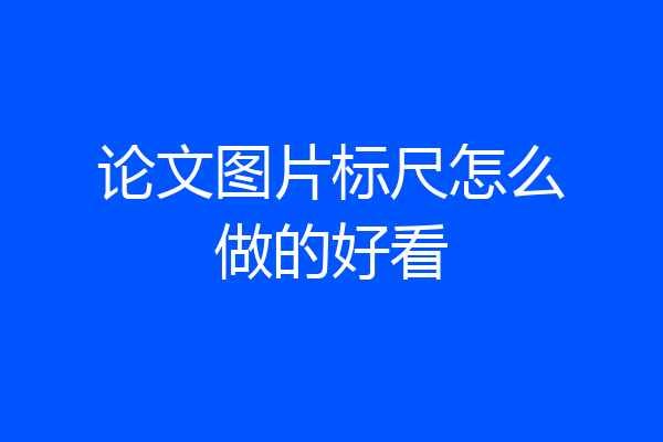 论文图片标尺怎么做的好看