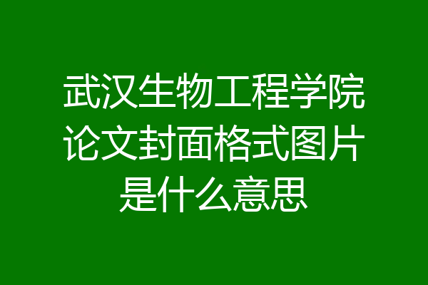 武汉生物工程学院论文封面格式图片是什么意思