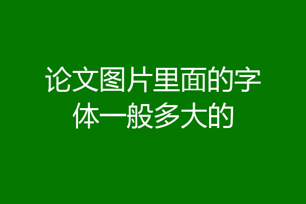 论文图片里面的字体一般多大的