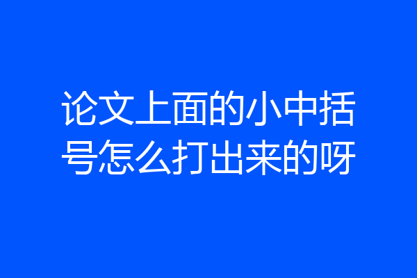 论文上面的小中括号怎么打出来的呀