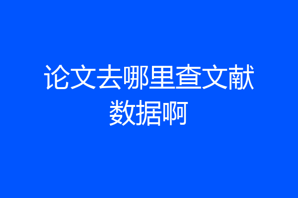 论文去哪里查文献数据啊