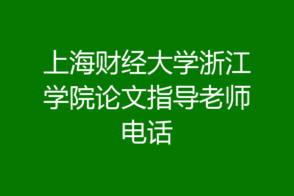 上海财经大学浙江学院论文指导老师电话
