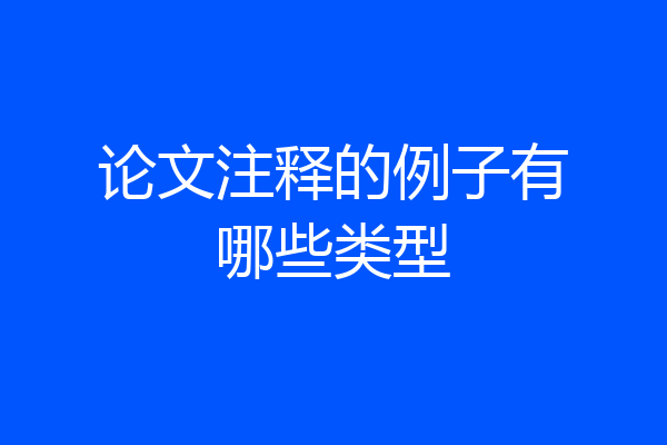 论文注释的例子有哪些类型
