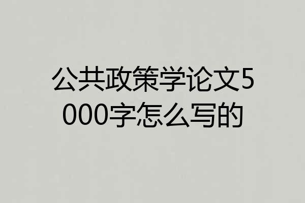 公共政策学论文5000字怎么写的