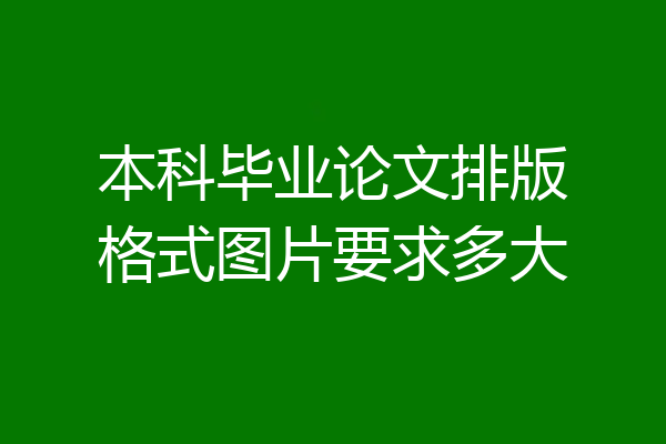 本科毕业论文排版格式图片要求多大