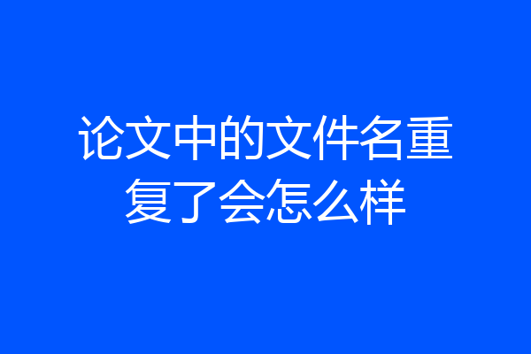 论文中的文件名重复了会怎么样