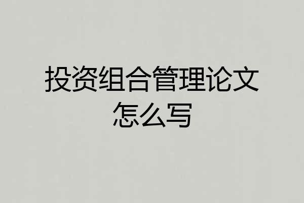 投资组合管理论文怎么写