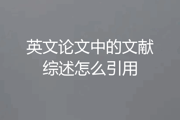 英文论文中的文献综述怎么引用