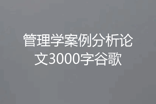 管理学案例分析论文3000字谷歌